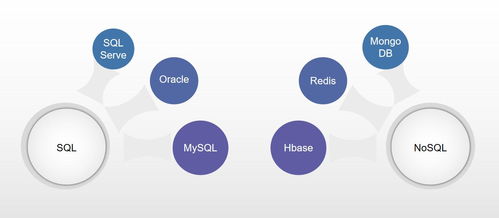 数字化转型路上，企业管理者必备的数据基础概念